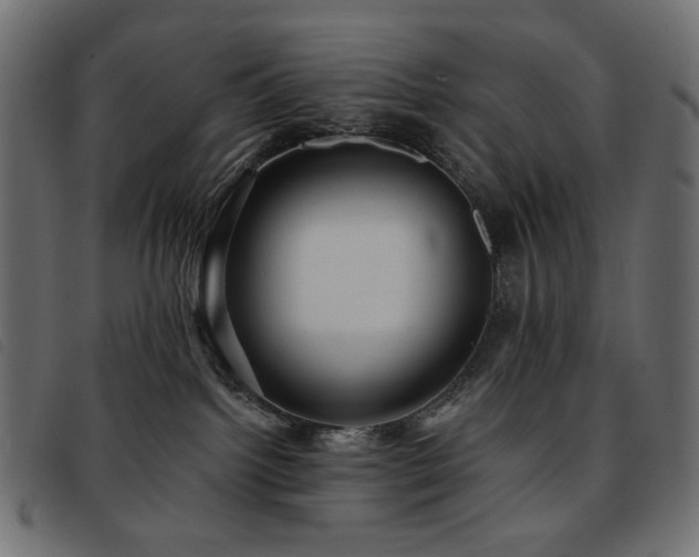 X0000093760092200710161231
