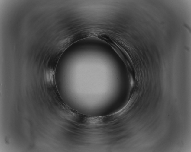 X0000093760094200710161231