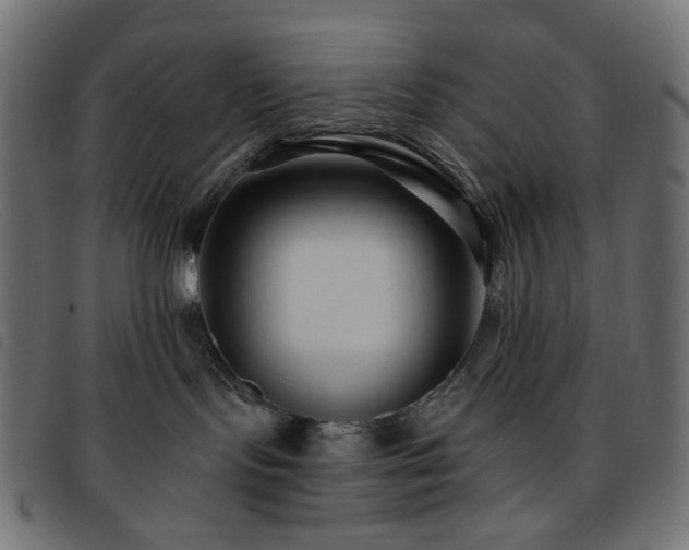 X0000093760095200710161231