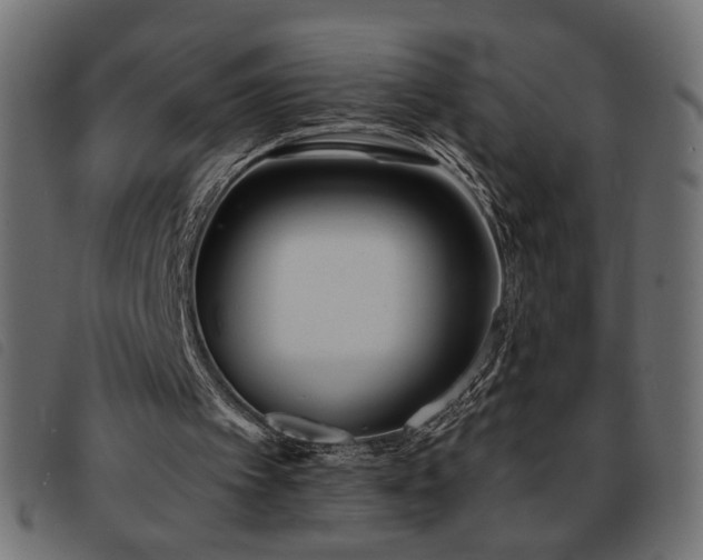 X0000093760097200710161230