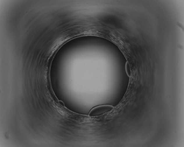 X0000093760098200710161230