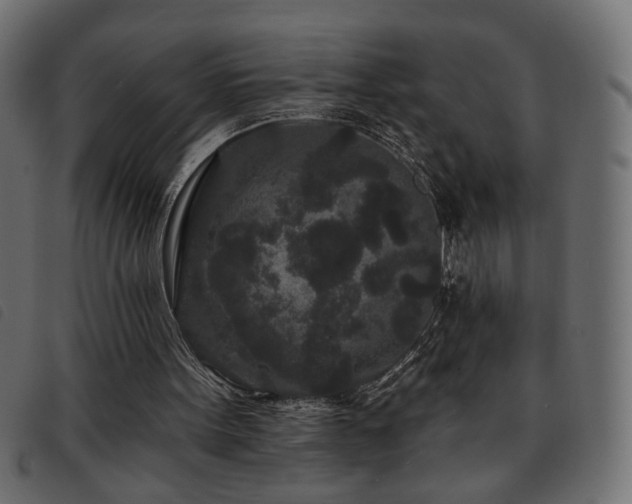X0000093760099200710161230