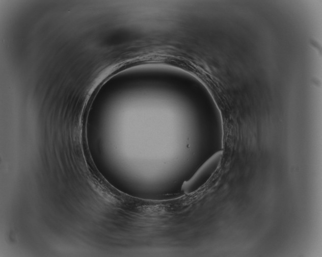 X0000093760100200710161230