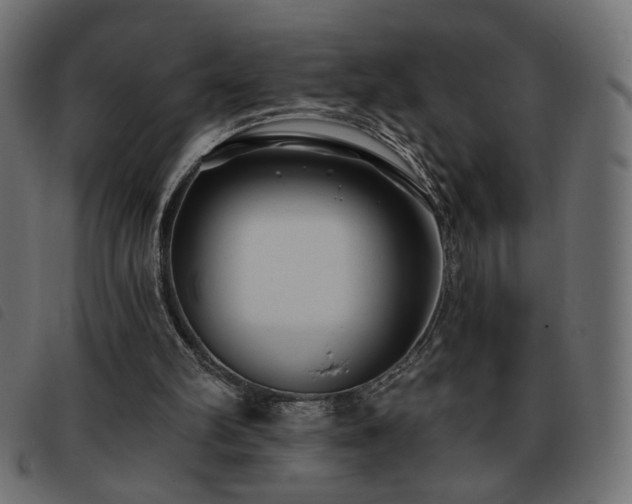 X0000093760102200710161230