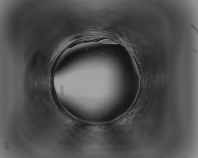 X0000093760103200710161230