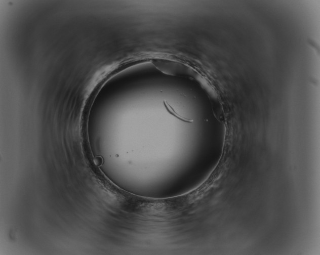 X0000093760104200710161230