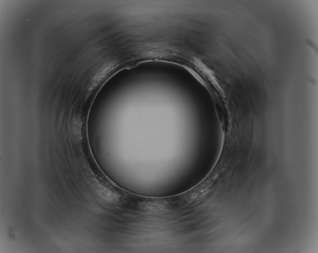 X0000093760106200710161230