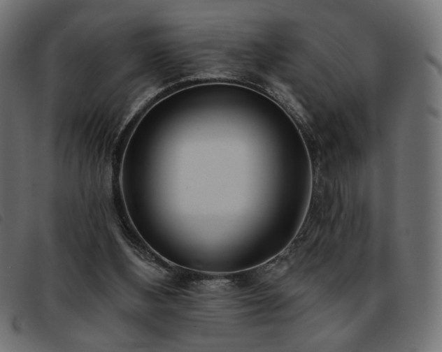 X0000093760108200710161230