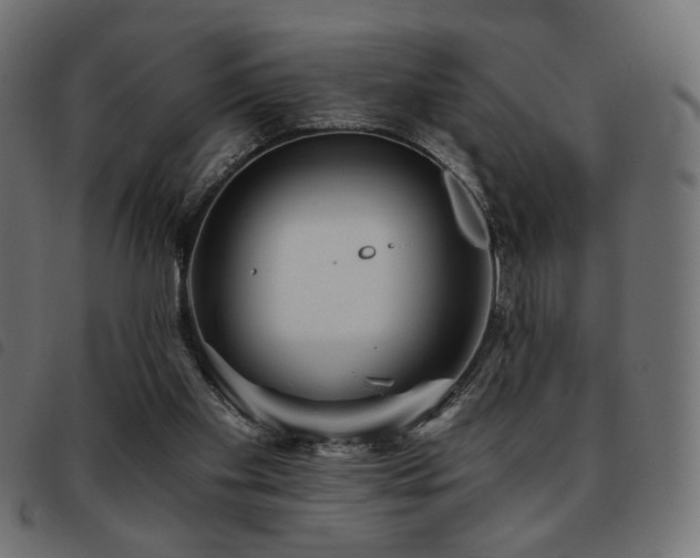 X0000093760109200710161230