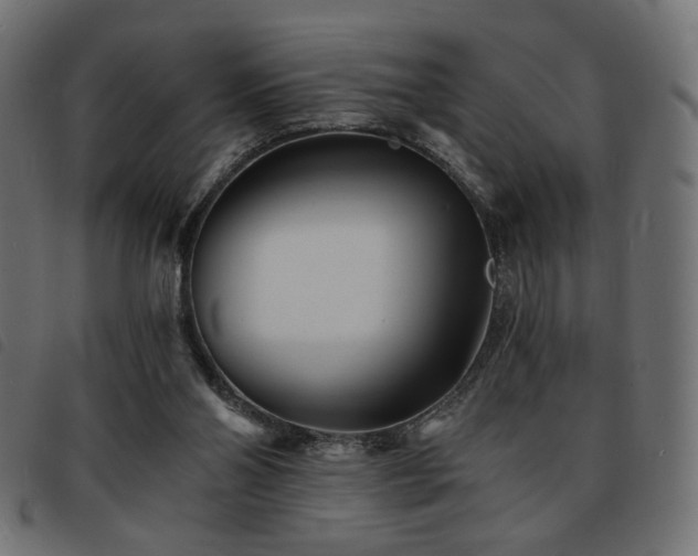 X0000093760110200710161230