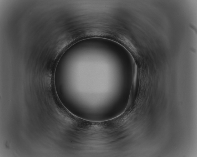X0000093760111200710161230