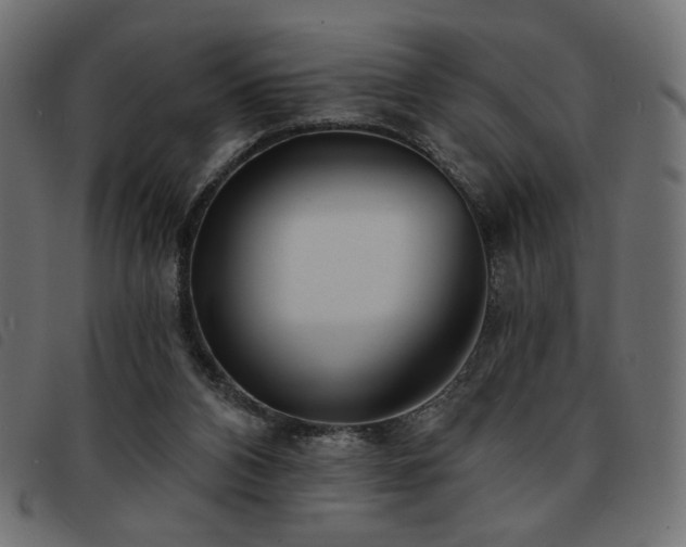 X0000093760112200710161230