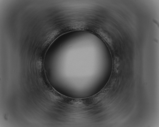 X0000093760113200710161230