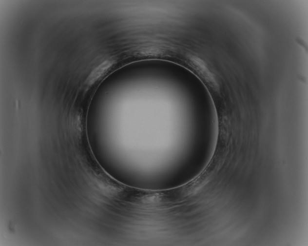 X0000093760116200710161230