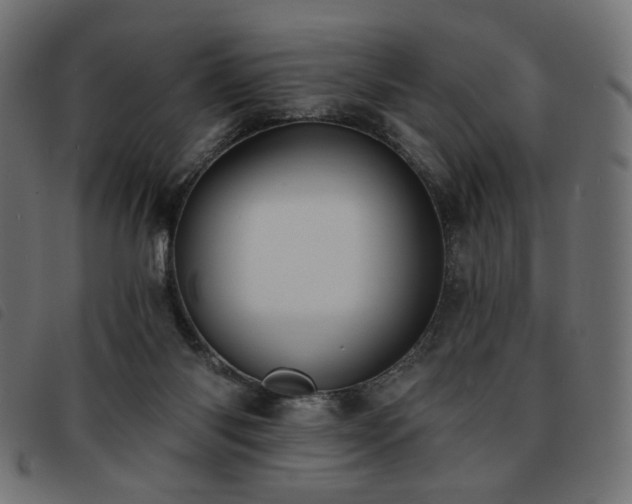 X0000093760118200710161230
