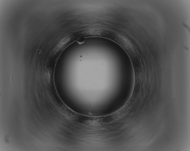 X0000093760120200710161230