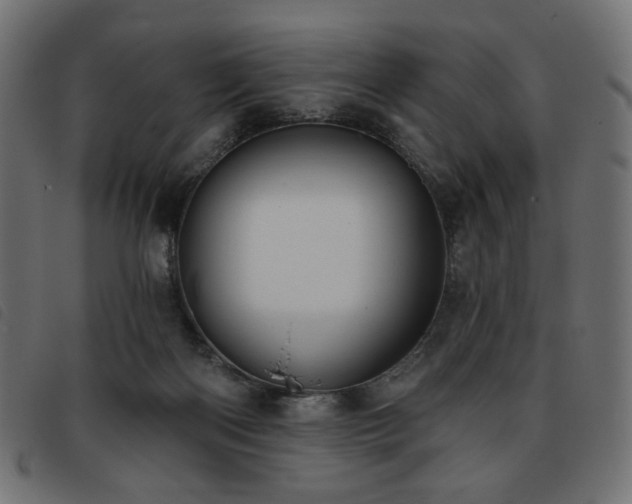 X0000093760122200710161230