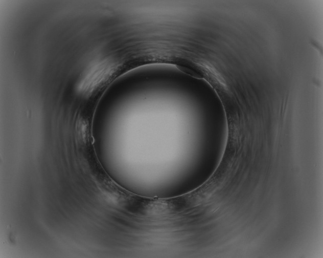 X0000093760123200710161230