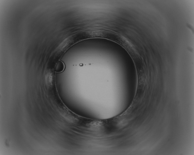 X0000093760124200710161230