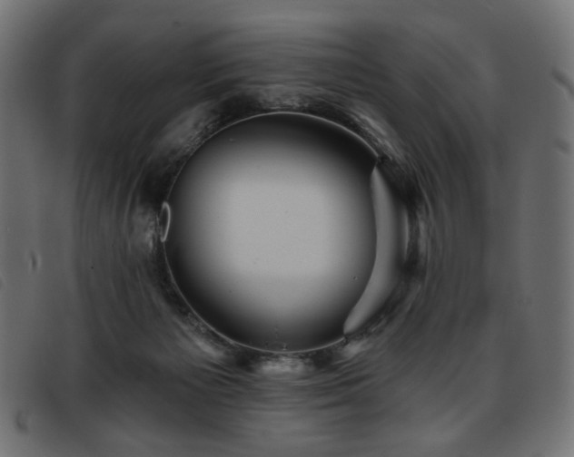 X0000093760125200710161230