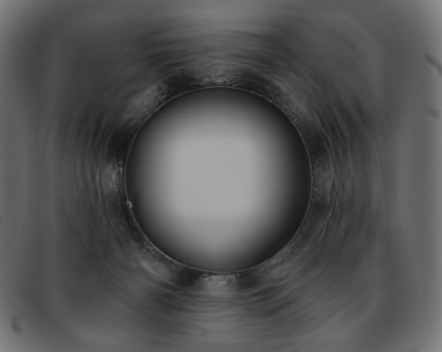 X0000093760126200710161230