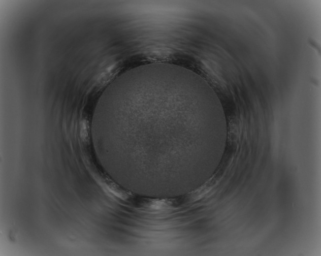 X0000093760130200710161230