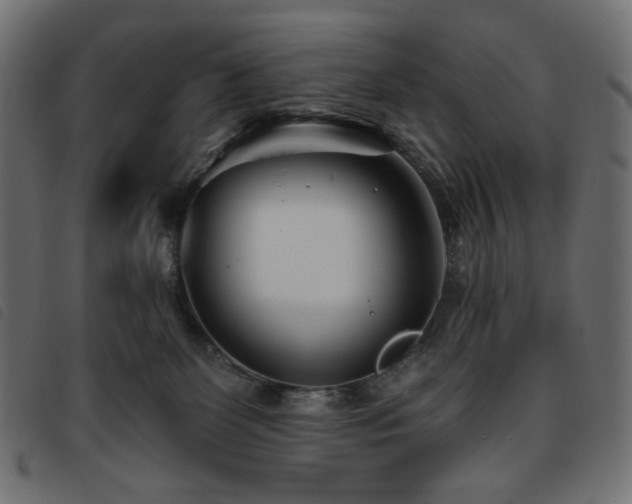X0000093760131200710161230
