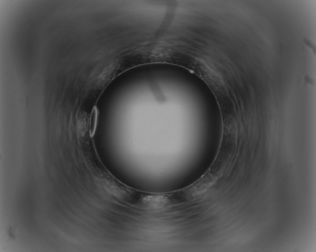 X0000093760133200710161230