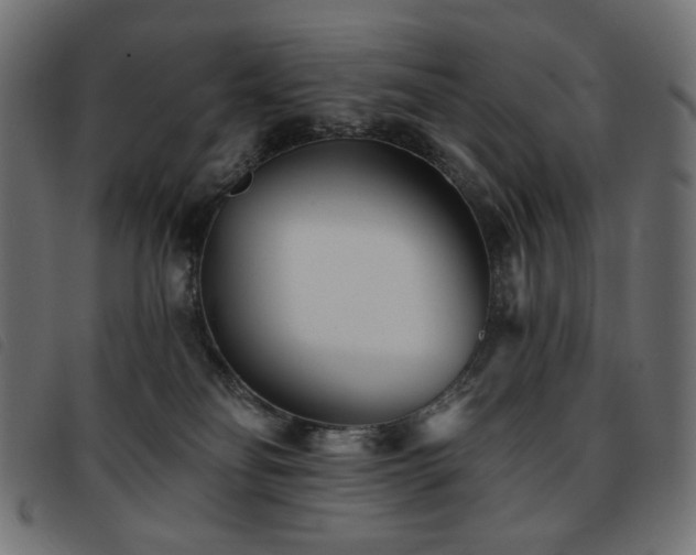 X0000093760134200710161230