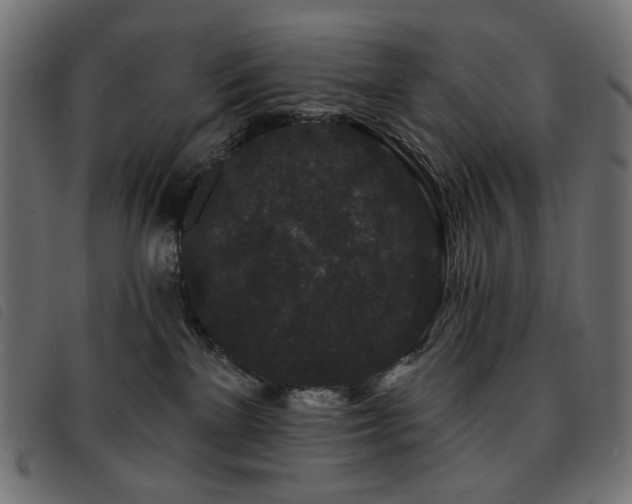 X0000093760137200710161230