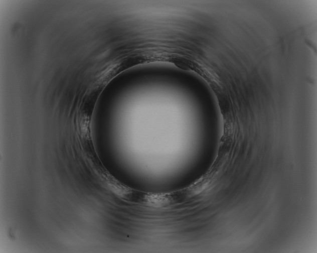 X0000093760141200710161230