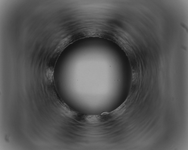 X0000093760142200710161230
