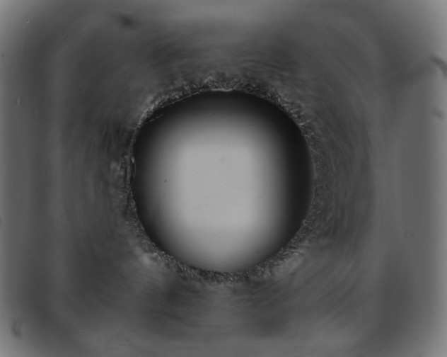 X0000093760144200710161230