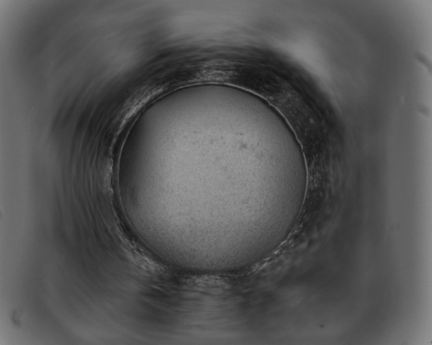 X0000093760146200710161229