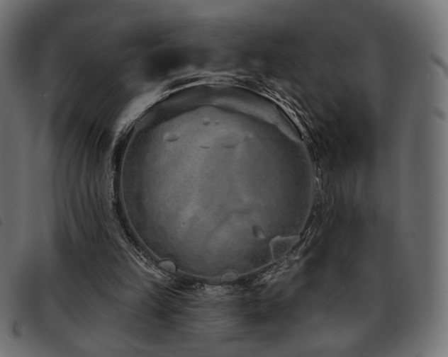 X0000093760149200710161229