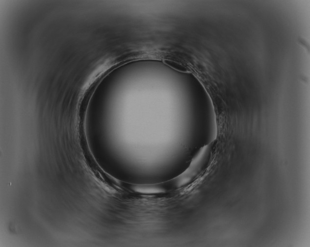 X0000093760150200710161229