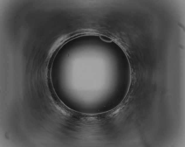 X0000093760151200710161229