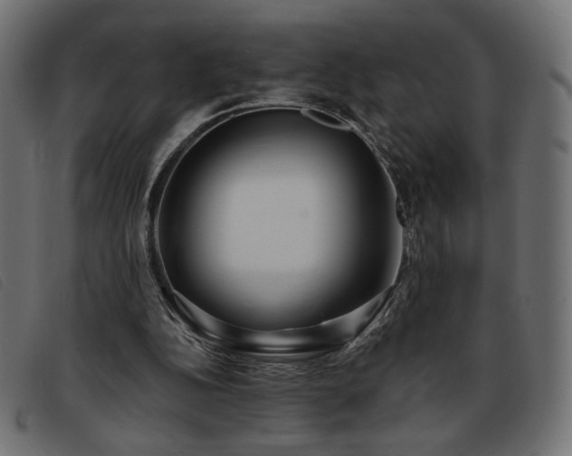 X0000093760152200710161229