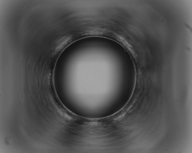 X0000093760153200710161229