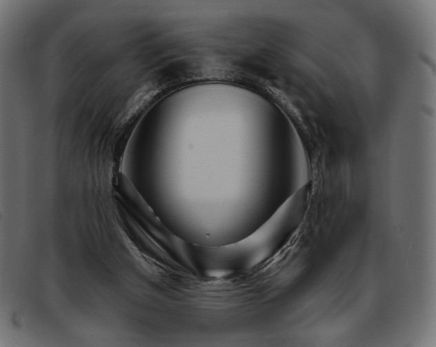 X0000093760154200710161229