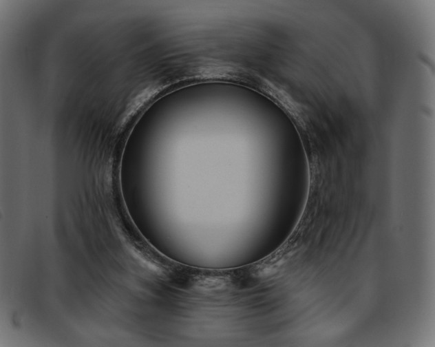 X0000093760155200710161229