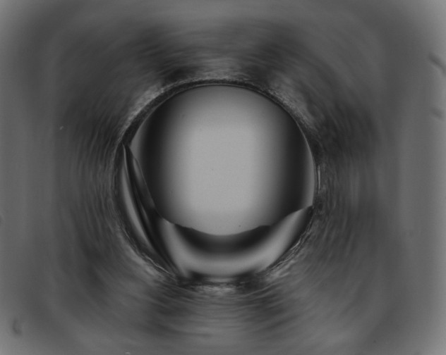 X0000093760156200710161229