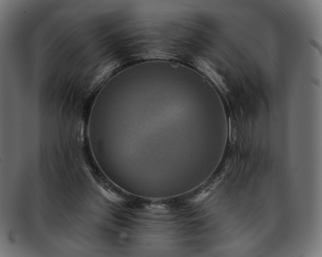 X0000093760157200710161229