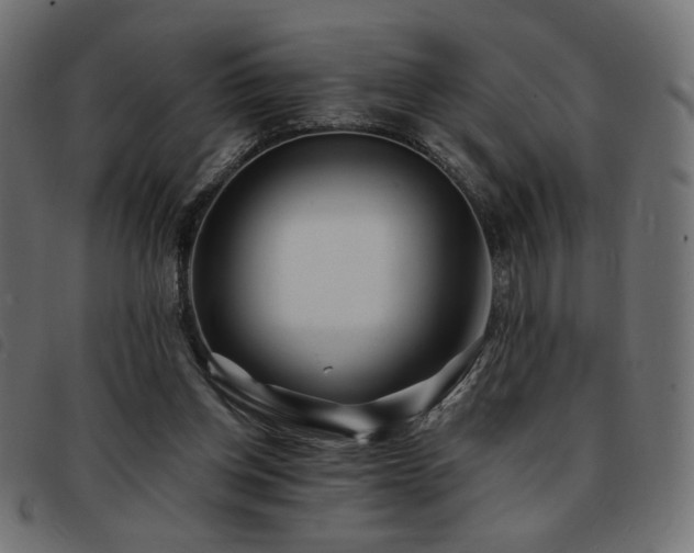 X0000093760158200710161229