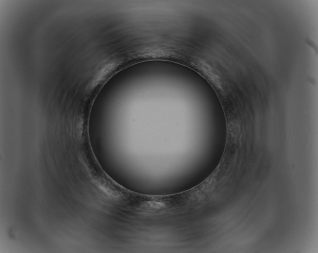 X0000093760159200710161229
