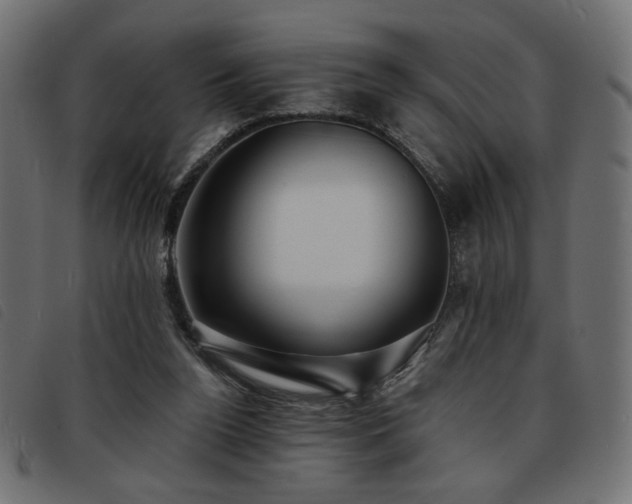 X0000093760160200710161229
