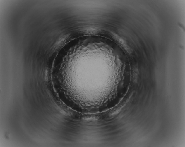 X0000093760161200710161229
