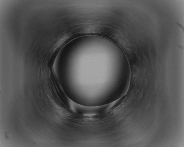 X0000093760164200710161229