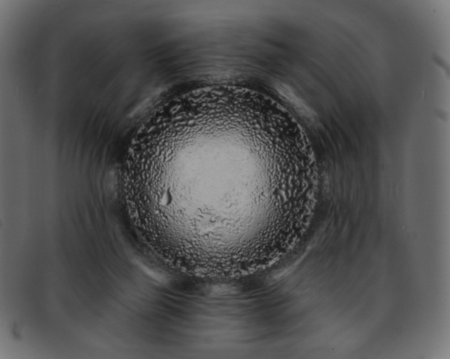 X0000093760165200710161229