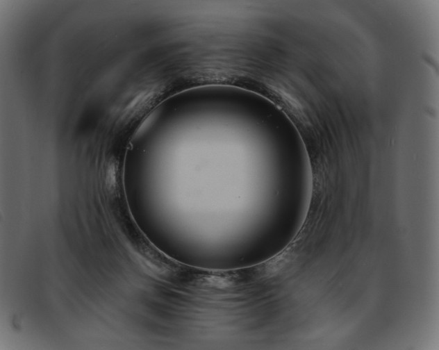 X0000093760166200710161229